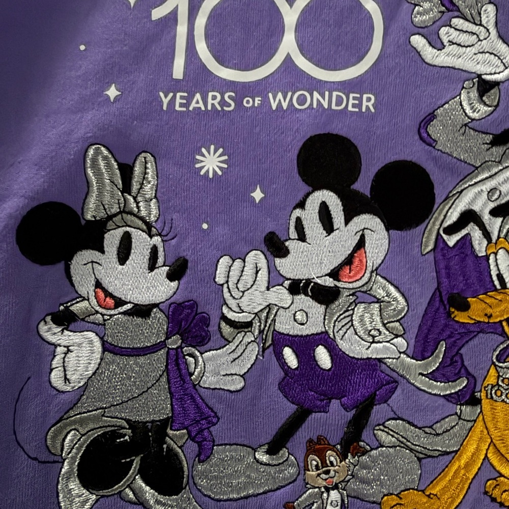 Disneyland 100th anniversary embroidered Hoodie sweatshirt - Picture 6 of 6